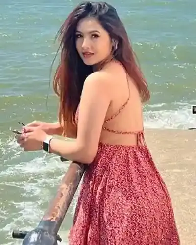 Wazirabad Escort Service