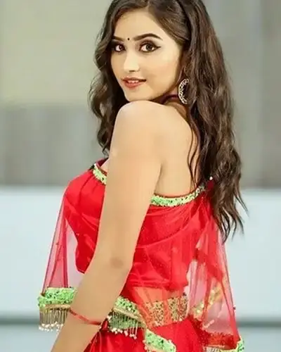 Escort In Wazirabad